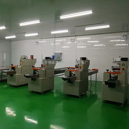 安徽無紡布口罩包裝機(jī) 高效、智能的紗布口罩自動(dòng)包裝解決方案